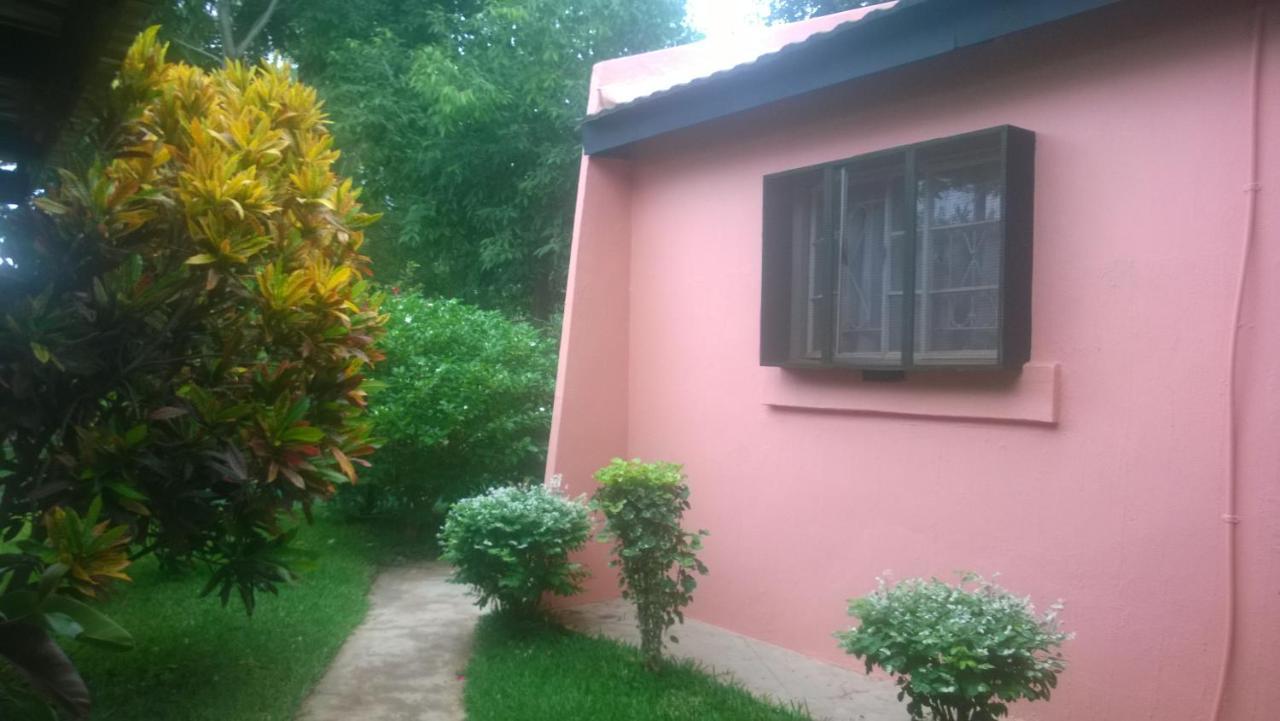 Gloria'S Bed And Breakfast ลิฟวิงสโตน ภายนอก รูปภาพ
